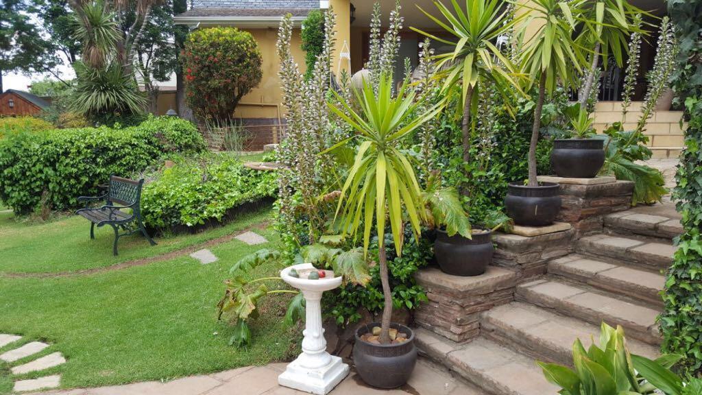 Villa Mikamora Johannesburg Zewnętrze zdjęcie
